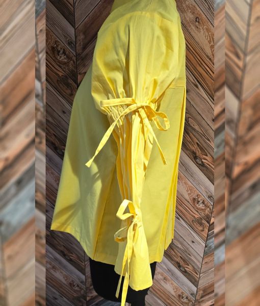 Soleil pleated back shirt  